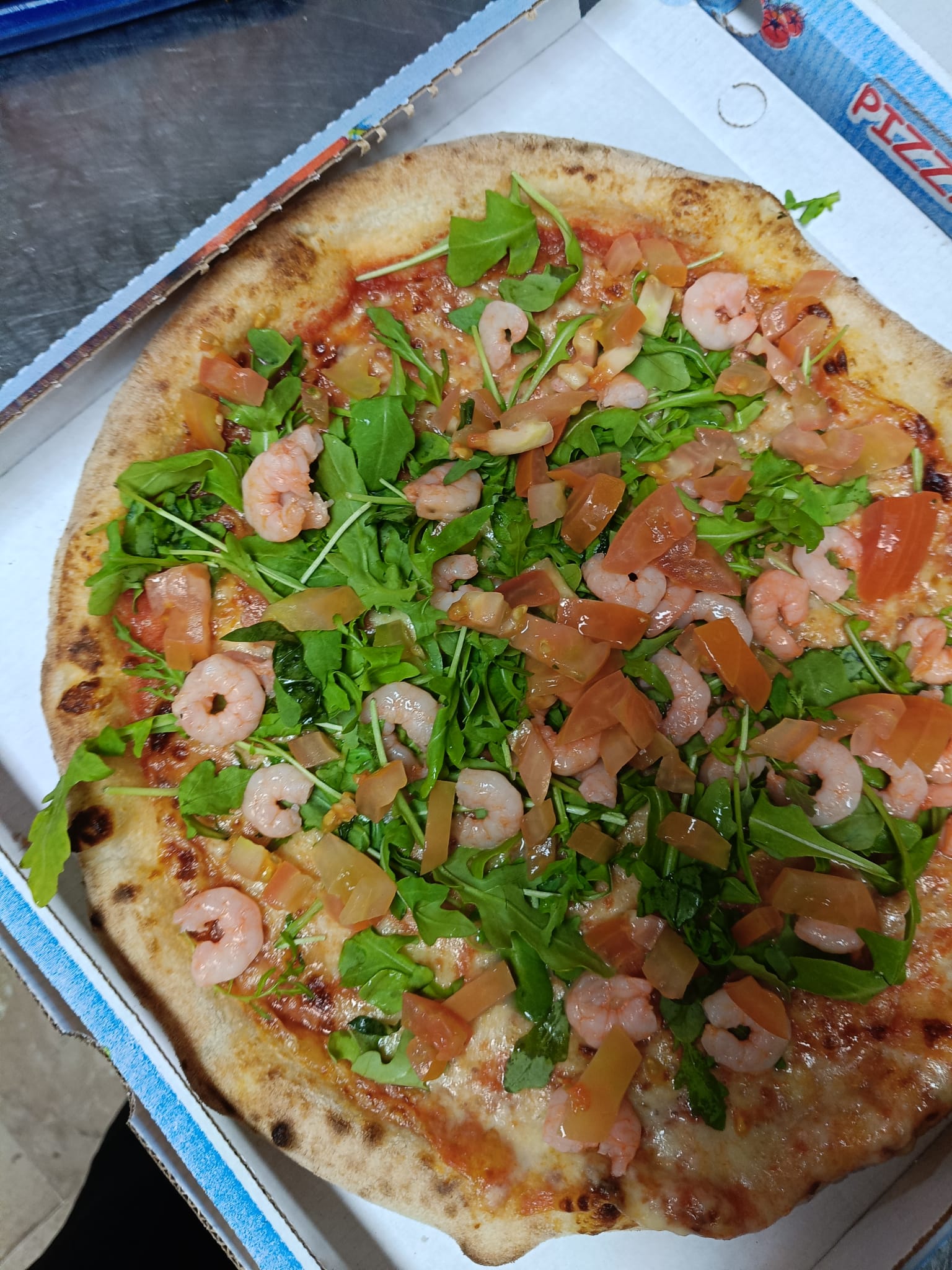 Gamberucola