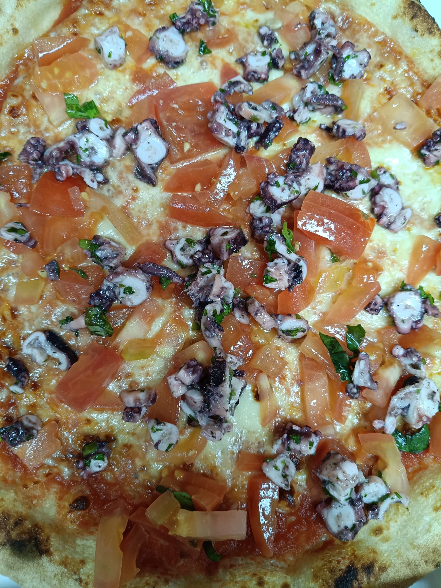 Polpi Insalata