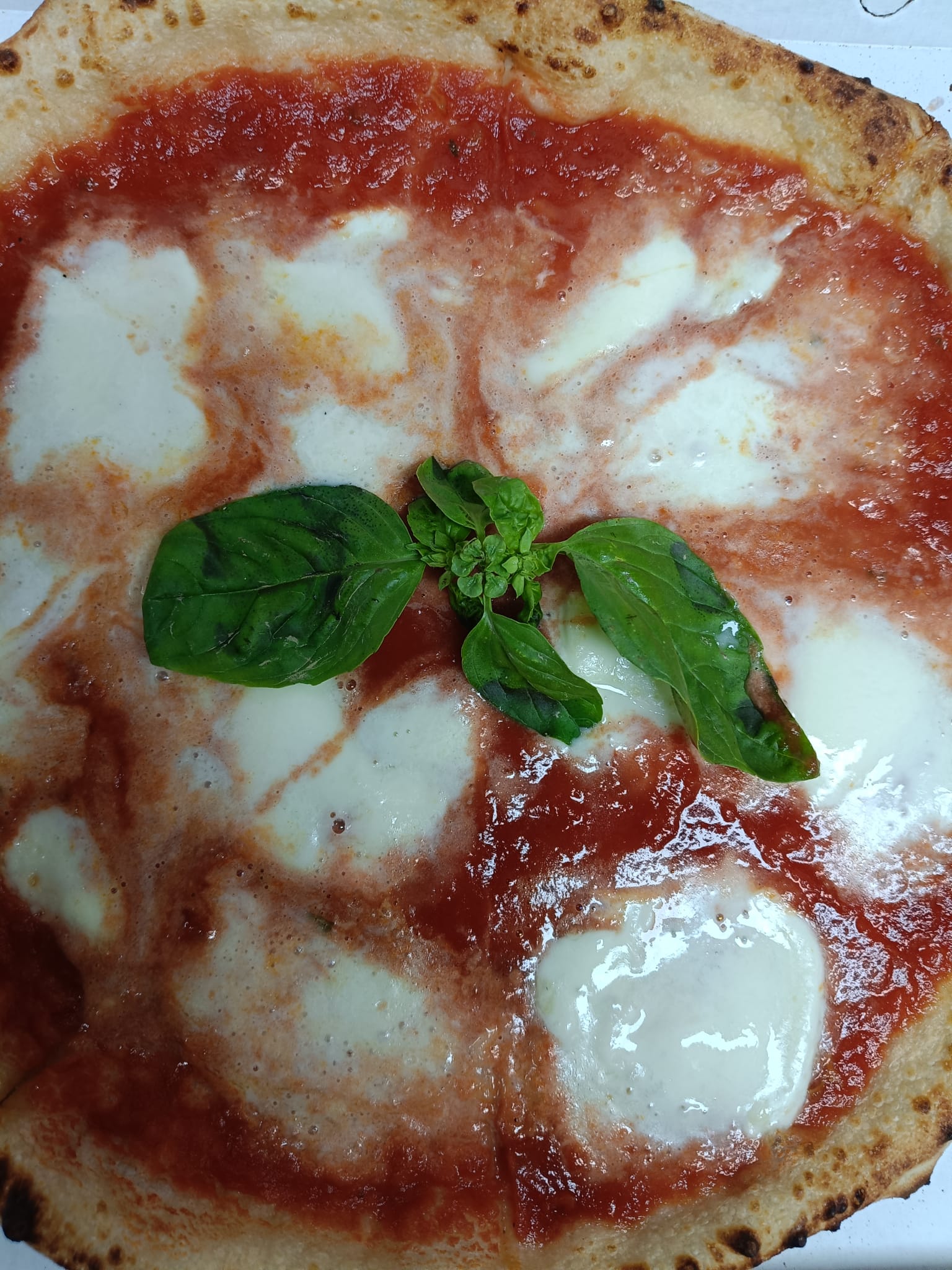 Bufala
